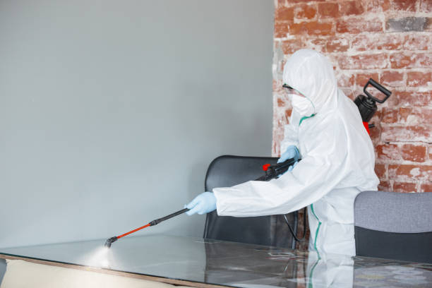  Fruitland Park, FL Mold Removal & Remediation Pros